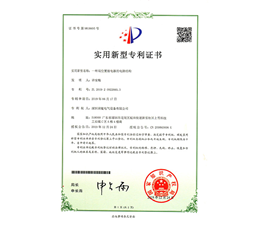 Patent Certificate for Dual Position Relay